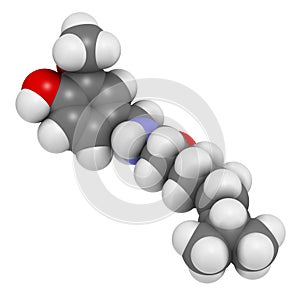 Capsaicin chili pepper molecule. Used in food, drugs, pepper spray, etc.  Atoms are represented as spheres with conventional color photo