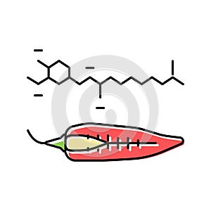 capsaicin pepper color icon vector illustration photo