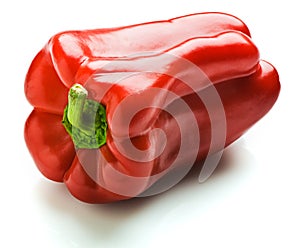 Capsicum photo