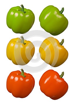 Capsicum Green Yellow Red