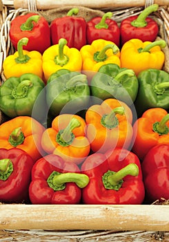 Capsicum peppers colour