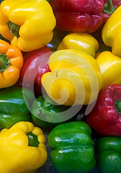 Capsicum in three colours