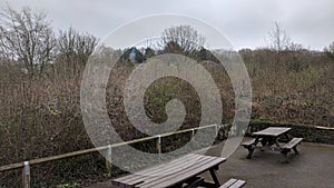 Capstone country park. May 2018