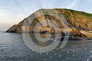 Capstone Point, Ilfracombe