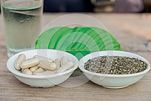 Capsule and powder in white bowl on kratom leaf