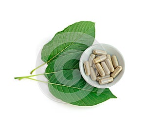 Capsule and powder in white bowl on kratom leaf