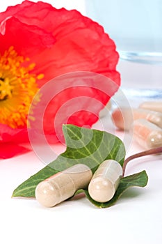 Capsules and poppy