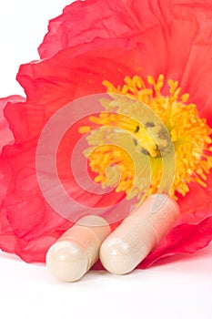 Capsules and poppy