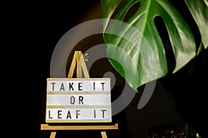 Caption saying TAKE IT OR LEAF leave IT Indoors garden healthy space biophilia design. Joke quote humor Monstera house