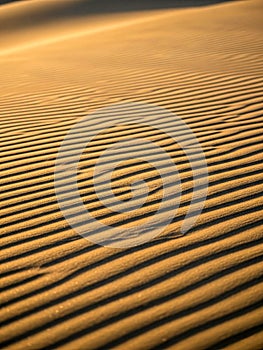 Golden Hour Sands, Pattern of the Desert