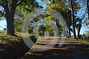 Captivating autumn fall foliage on a durt trail