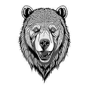 A Captivating Bear Head Illustration Exuding Strength and Untamed Spirit