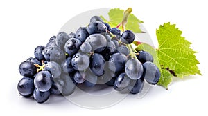 Captivating Cluster: Freshly Picked Dark Blue Grapes, Isolated on White Canvas, Enhanced Depth (