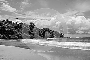 Captivating deserted beachscape in Ghana, Africa, in grayscale