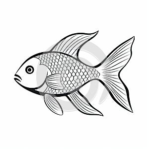 Captivating Goldfish Outline Drawing On White Background