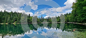 Mirror of the Sky: The Forest Lake\'s Perfect Reflection photo