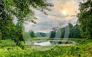 Serene Sunset Over a Forest Pond with Lush Greenery and Reflective Water