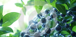 Science and nature concept: molecular structure with green leaves for sustainable technology research