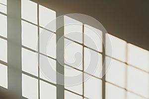 Soft Shadows Cast by Window Grids