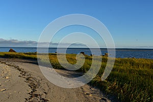 Captivating landscape on the coast of cape cod