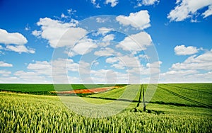 Captivating scene of the countryside with white fluffy clouds