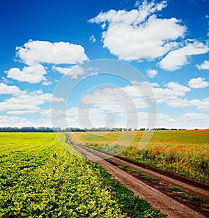 Captivating scene of the countryside with white fluffy clouds