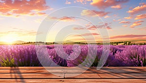 Captivating serenity in a lavender field a naturally stunning beauty for your podium backdrop