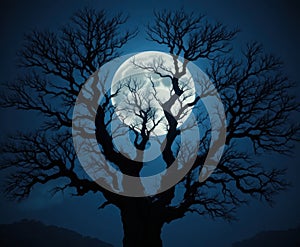 Bare Tree Silhouette Against Full Moon