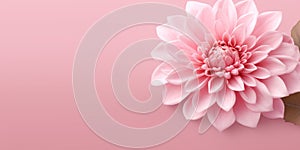 Captivating Succory Flower on Beautiful Blurred Background