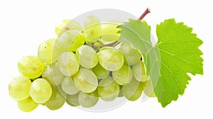 Captivating Sweet Green Grape Cluster: Pristine Shine Muscat Grapes with Leaves, Isolated on a White