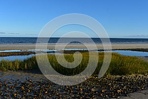 Captivativing seascape off the coast of cape cod