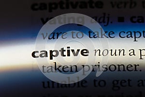 captive