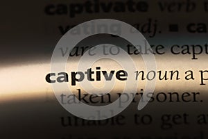 captive