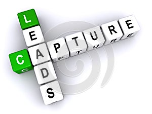 Capture Leads