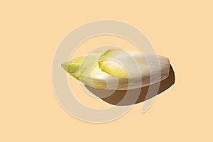 Captured from above, a crisp and freshly harvested endive lies isolated against a soft peach backdrop,