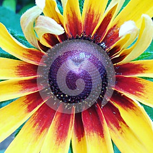 Captured by my phone