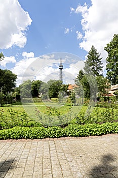 Captured in Prague, Czech Republic, this photo features a scenic view of Petrin Tower surrounded by lush greenery photo