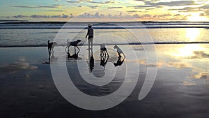 Capturing a Happy Moment with a Beloved Dog on Bali Beach photo