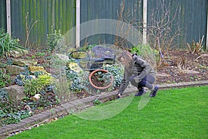 Using grass pruning shears.