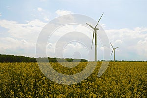 Wind turbines, in rape seed oil fields 2, in Marr, Doncaster, South Yorkshire. photo