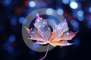 Capturing the Vibrant Beauty of a Winter Leaf: A Colorful Masterpiece in C12C842E-7E15-4CF9-BC01-2571F91664B5.jpeg