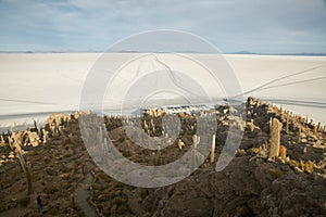 Captus and the Uyuni salar desert. South of Bolivia. photo