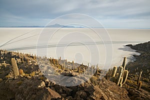 Captus and the Uyuni salar desert. South of Bolivia. photo