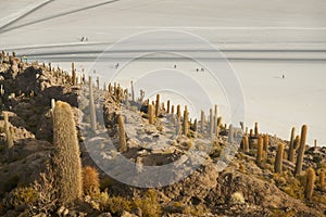 Captus and the Uyuni salar desert. South of Bolivia. photo