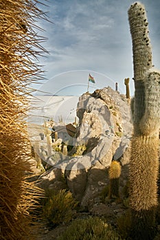 Captus and the Uyuni salar desert. South of Bolivia. photo