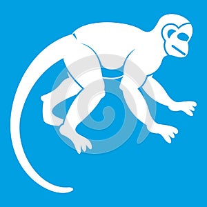 Capuchin monkey icon white