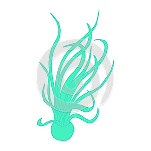 Caput Medusae plant in a pot. Line art doodle sketch. Mint green on white background. Vector illustration.