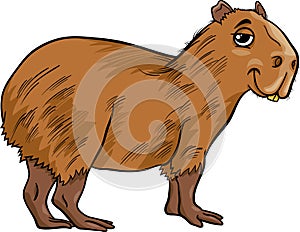 Capybara animal cartoon illustration