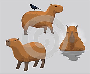 Capybara Cute Cartoon Poses Vector Illustration Set 3