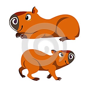 Capybaras.vector